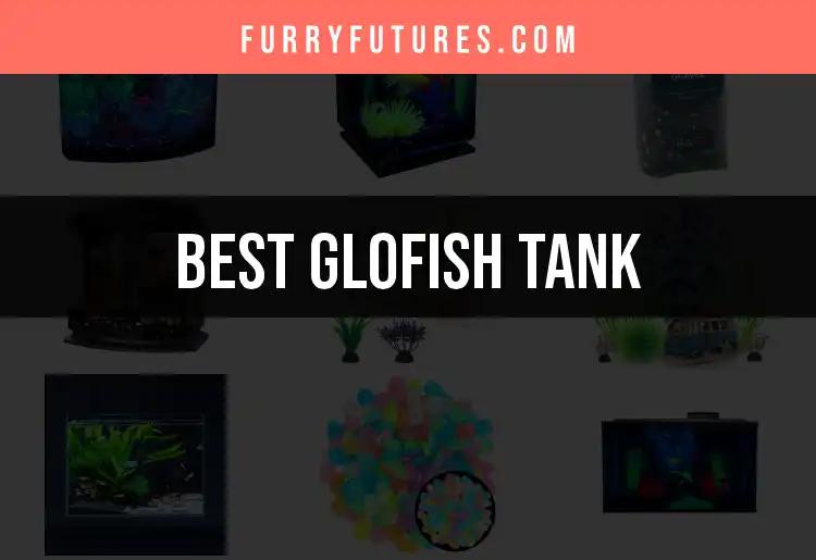 14 Best Glofish Tanks for Vibrant Aquatic Joy