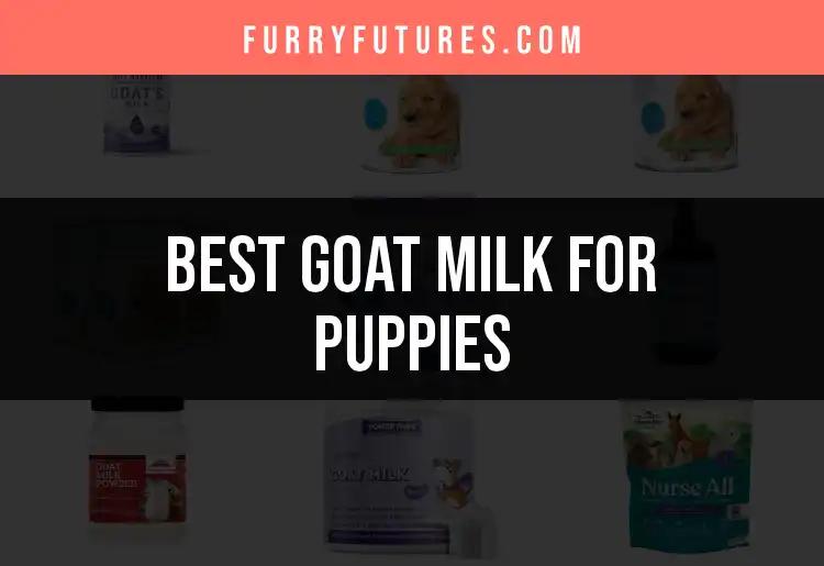 18 Top Goat Milk Products for Puppies Unleashed