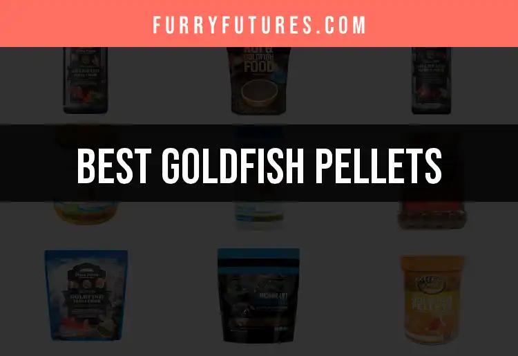13 Best Goldfish Pellets for Happy, Healthy Fish