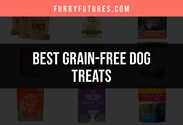 12 Must-Try Grain-Free Dog Treats For Happy Pups