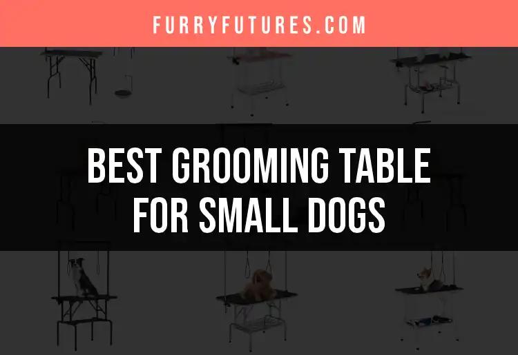 11 Essential Grooming Tables for Small Dogs