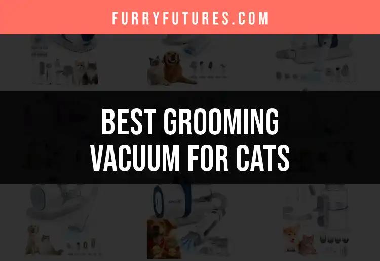 17 Best Grooming Vacuums for Cats That Every Owner Needs