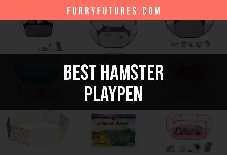 12 Best Hamster Playpens for Happy, Safe Playtime