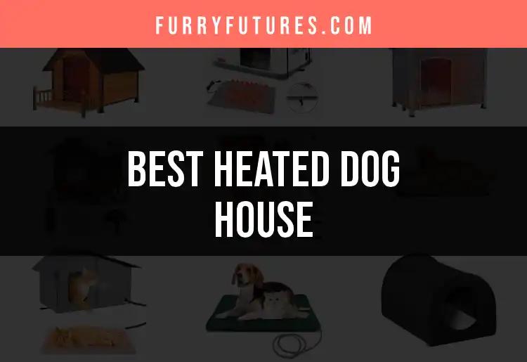 15 Best Heated Dog Houses for Cozy Pups