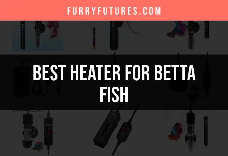 15 Best Heaters for Betta Fish: Keep Them Cozy and Happy