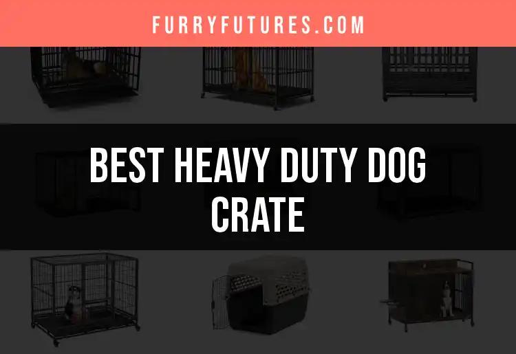 17 Heavy Duty Dog Crates for Every Pup's Needs