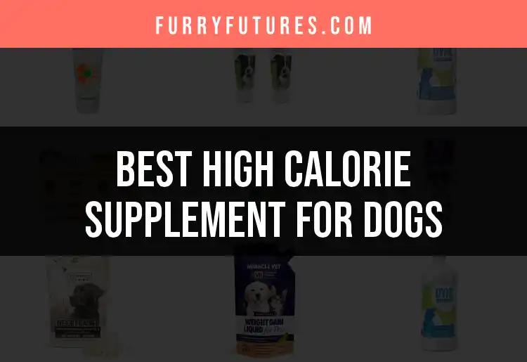 17 Top High Calorie Supplements for Dogs to Energize Pups