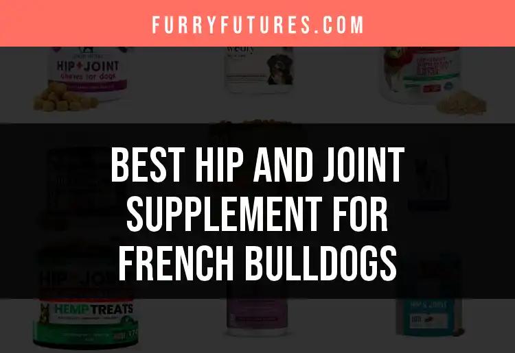 17 Best Hip and Joint Supplements for French Bulldogs