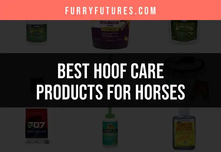 15 Essential Hoof Care Products for Healthy Horses