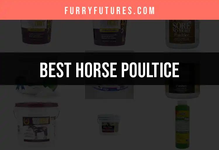 11 Top Horse Poultices for Quick Relief and Care