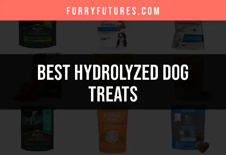 14 Hydrolyzed Dog Treats That Dogs Will Love