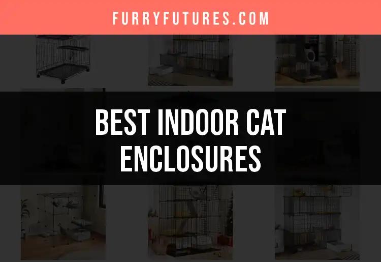 12 Best Indoor Cat Enclosures for Happy, Safe Cats