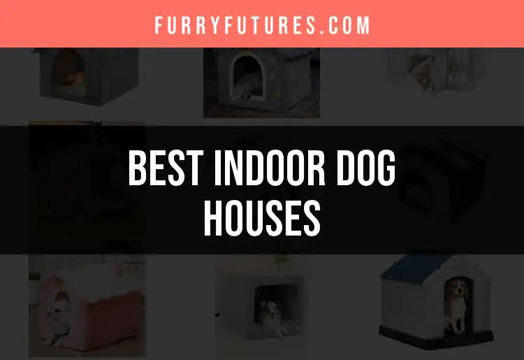 12 Cozy Indoor Dog Houses to Keep Your Pup Happy