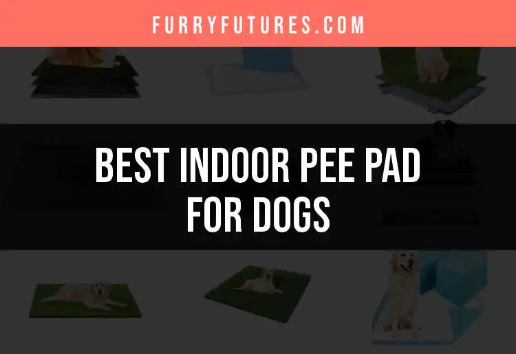 18 Top Indoor Pee Pads for Dogs: Find Your Best Fit