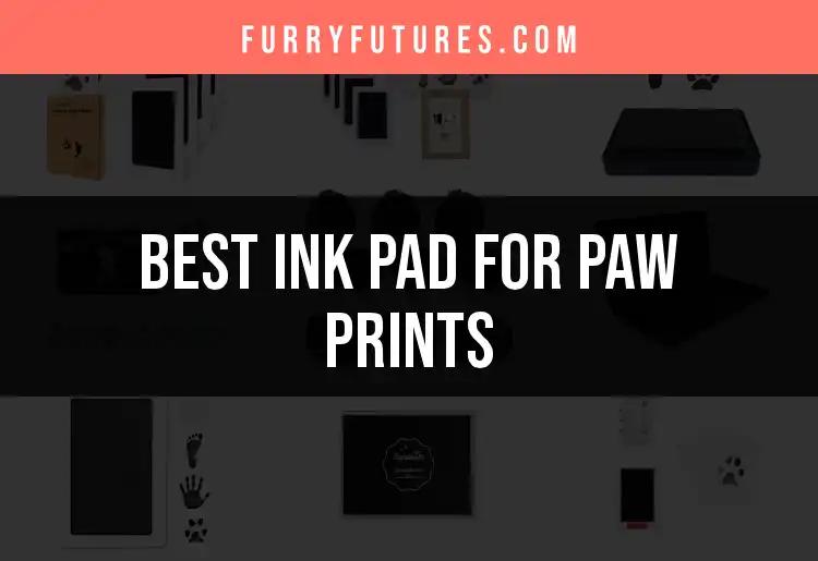 14 Best Ink Pads for Paw Prints: Capture Furry Memories