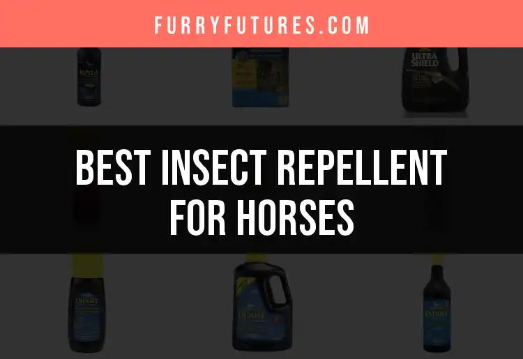 17 Best Insect Repellent for Horses You Need to Try