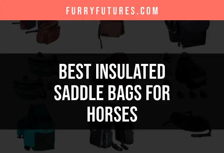 9 Best Insulated Saddle Bags for Horses to Keep Items Cool