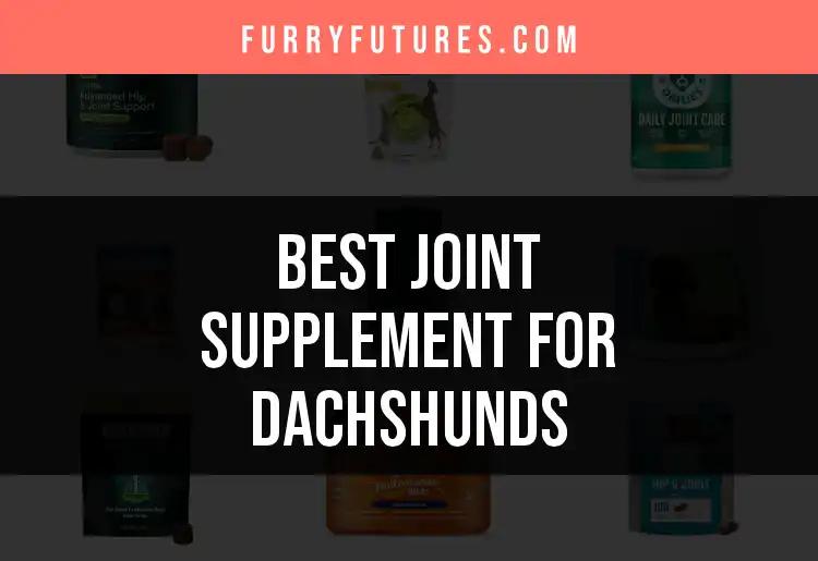 15 Best Joint Supplements for Happy Dachshunds