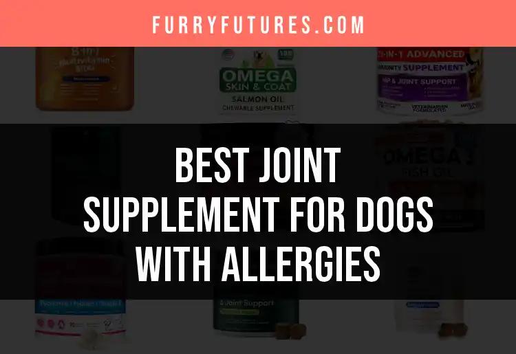 18 Top Joint Supplements for Dogs with Allergies