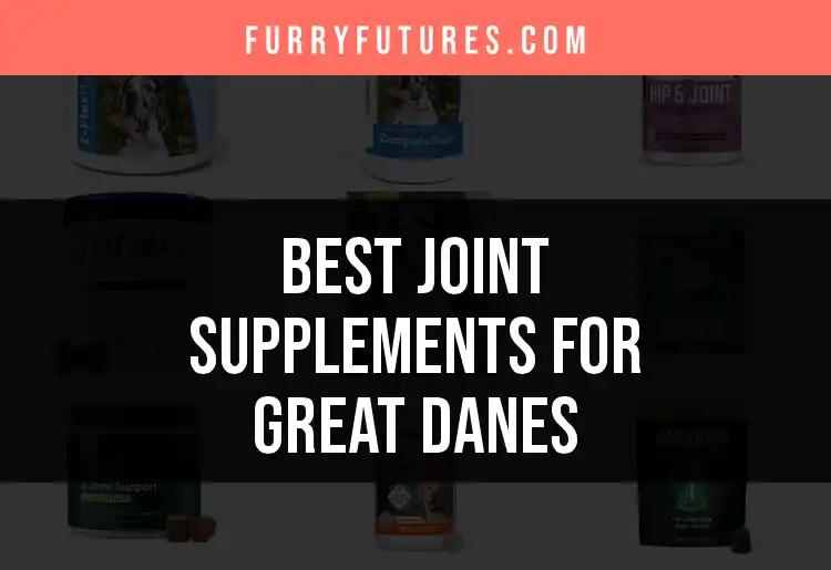 15 Top Joint Supplements for Great Danes Reviewed