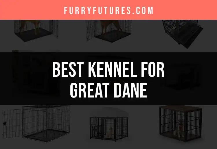 11 Best Kennels for Your Great Dane Companion