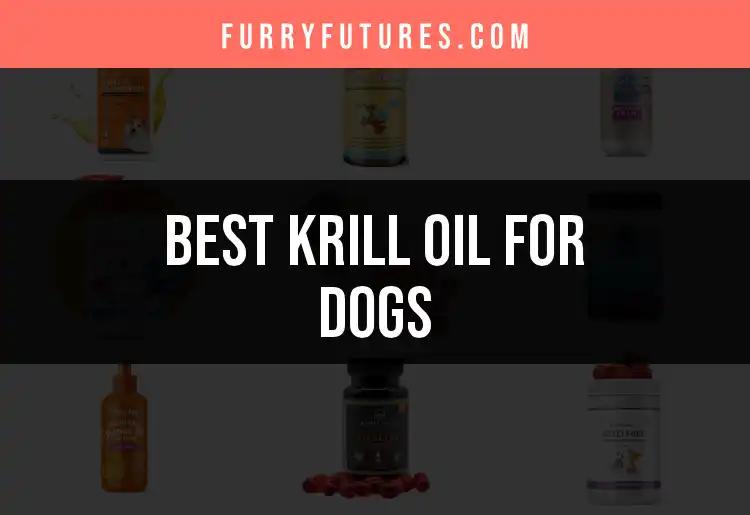 12 Best Krill Oil for Dogs: Find Your Pup's Perfect Match