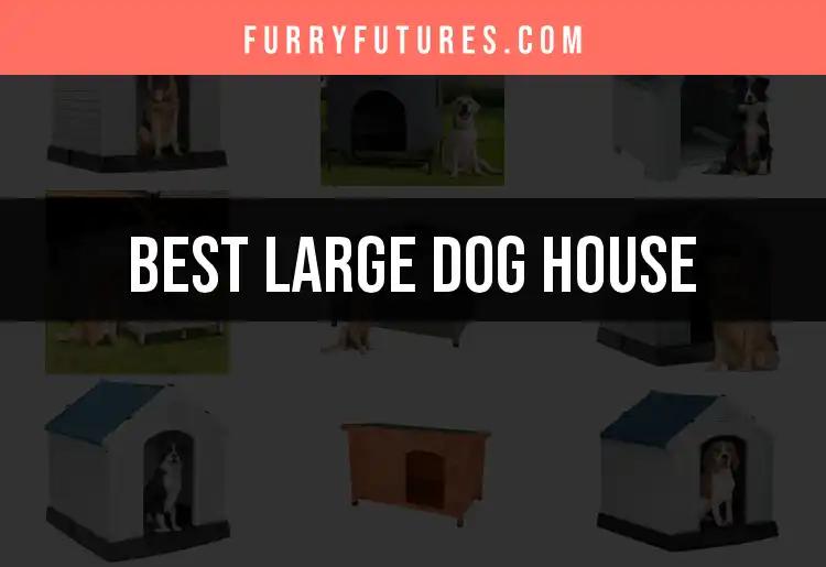 16 Ideal Large Dog Houses For Your Furry Friend