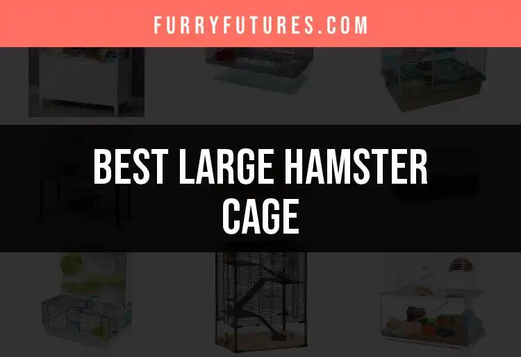 12 Large Hamster Cages to Keep Your Furry Friend Happy