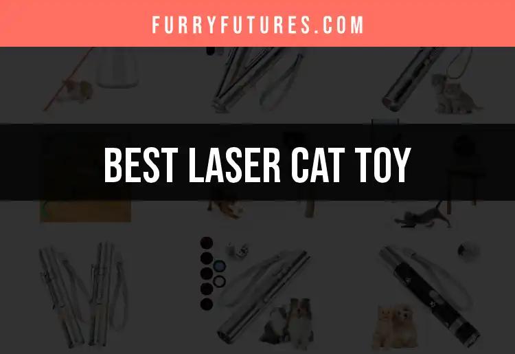 18 Best Laser Cat Toys for Endless Feline Fun