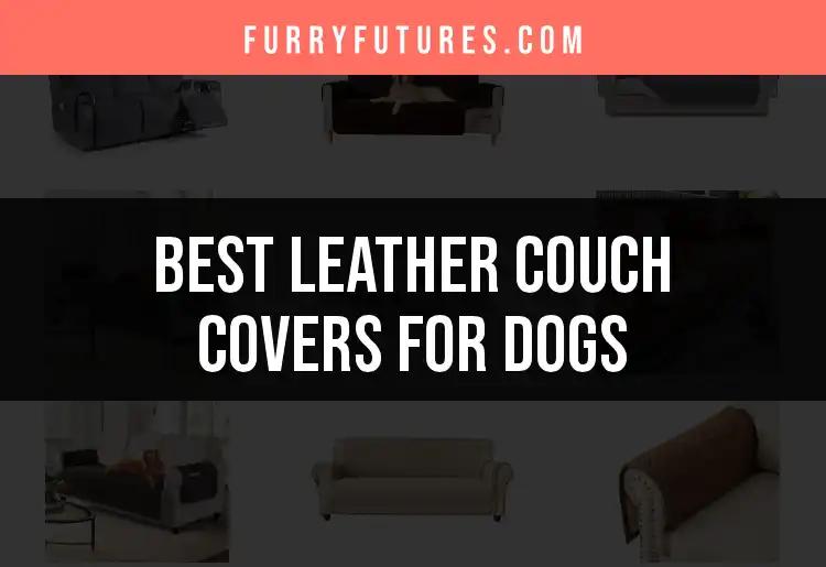 16 Best Leather Couch Covers for Dogs Reviewed