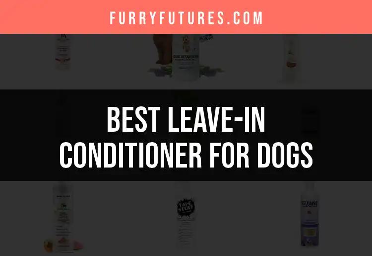 16 Best Leave-In Conditioners for Dogs to Try Today