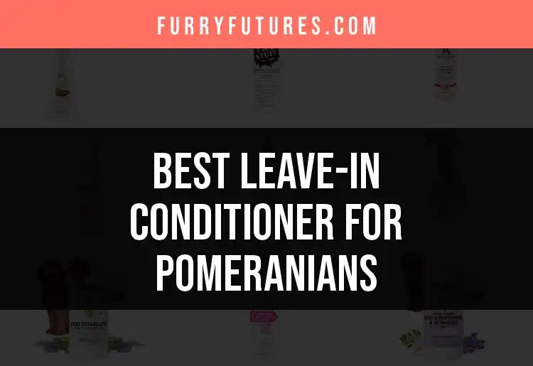 17 Best Leave-In Conditioners for Pomeranians Revealed