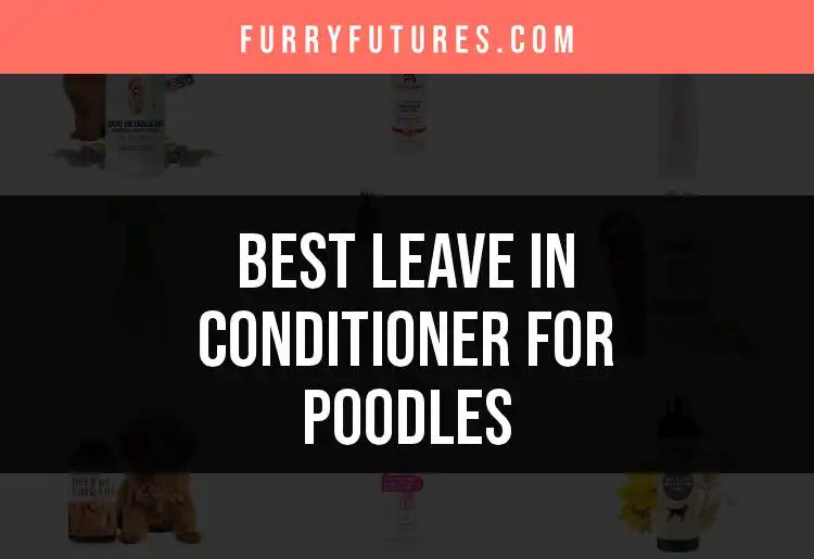 17 Best Leave In Conditioners for Poodles You Need to Know