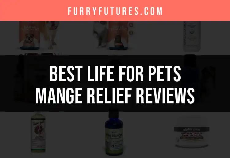 14 Best Life For Pets Mange Relief Reviews You Can Trust