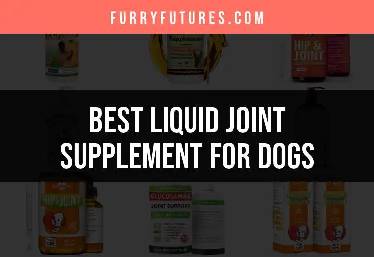 12 Top Liquid Joint Supplements for Dogs to Trust