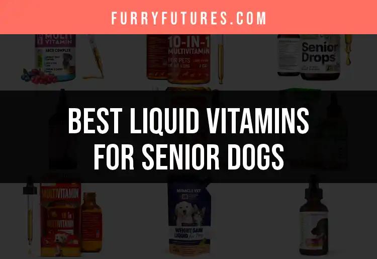 12 Liquid Vitamins for Senior Dogs You Should Consider