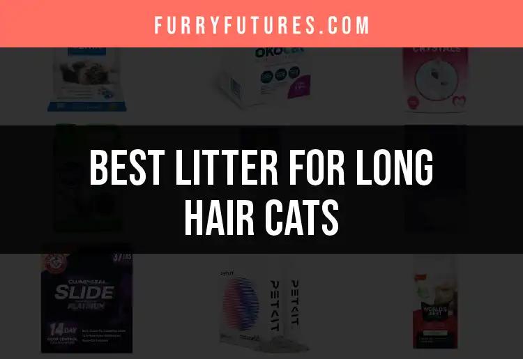 19 Best Litters for Long Hair Cats to Keep Them Clean
