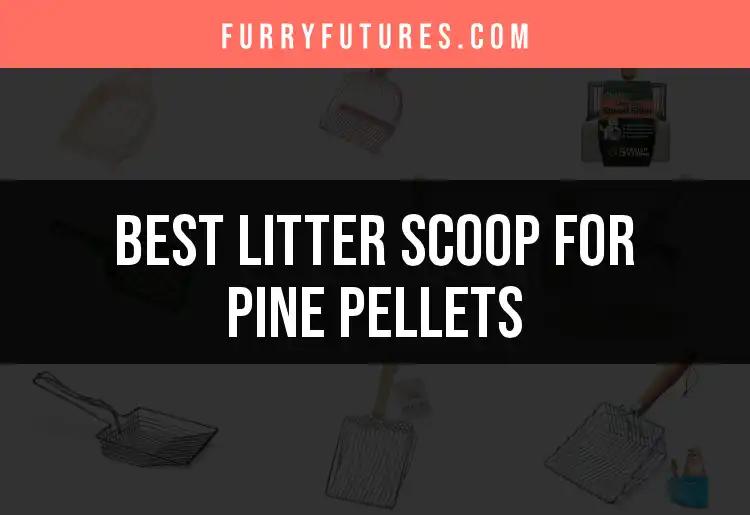 The 12 Best Litter Scoops for Pine Pellets