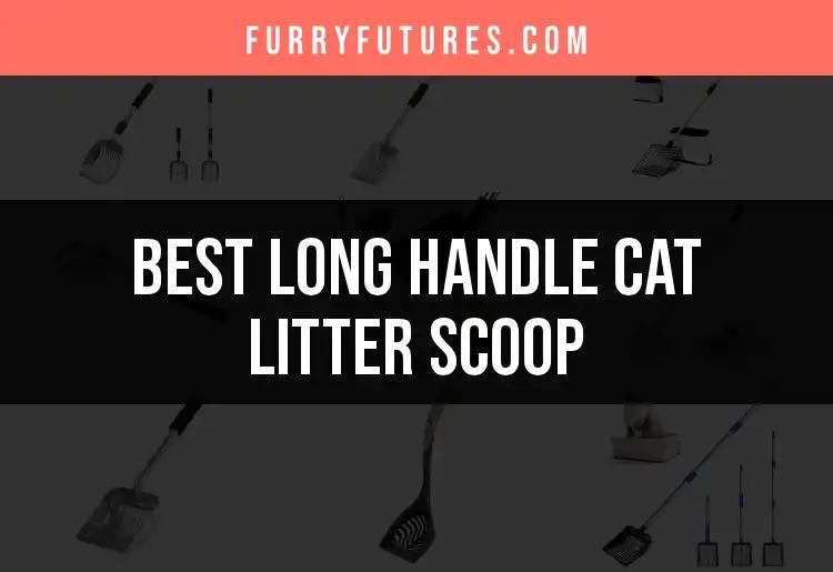 11 Best Long Handle Cat Litter Scoops for Easy Cleanup