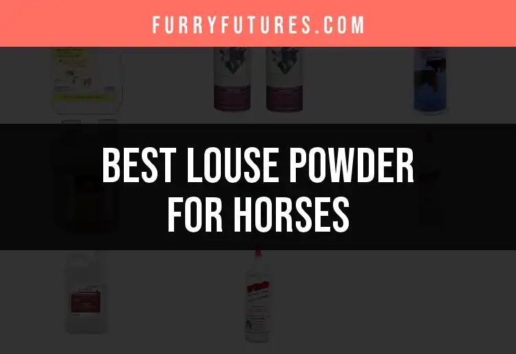13 Best Louse Powders for Horses to Keep Tails Tangle-Free