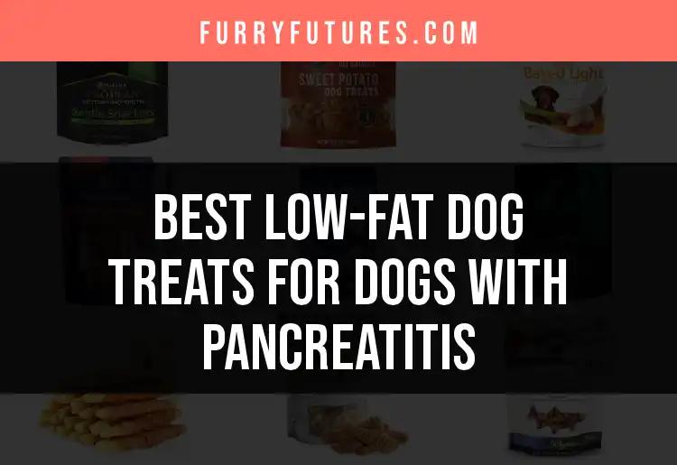 13 Low-Fat Dog Treats for Dogs with Pancreatitis