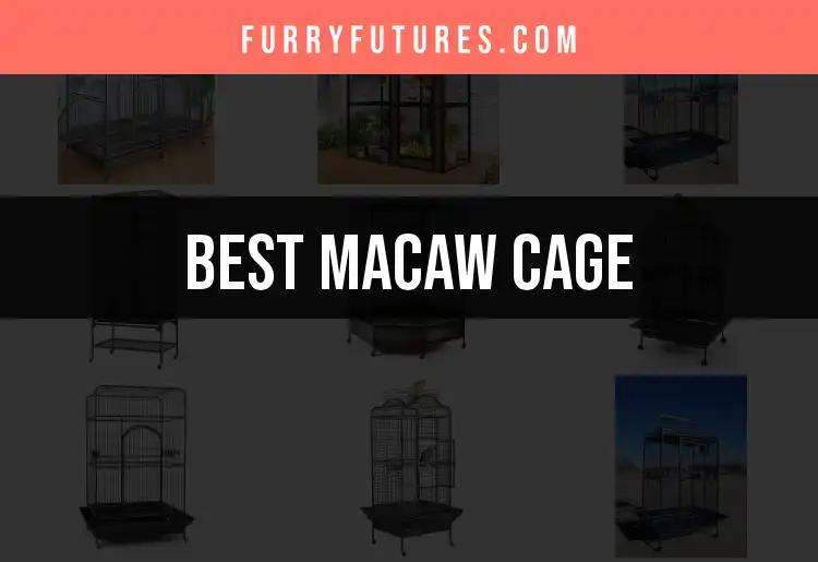 13 Must-See Macaw Cages for Your Feathered Friend