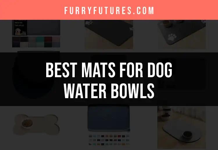 14 Best Mats for Dog Water Bowls You Can't Miss