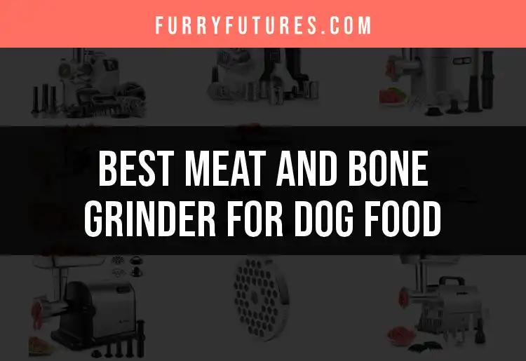 16 Best Meat and Bone Grinders for Dog Food in 2023