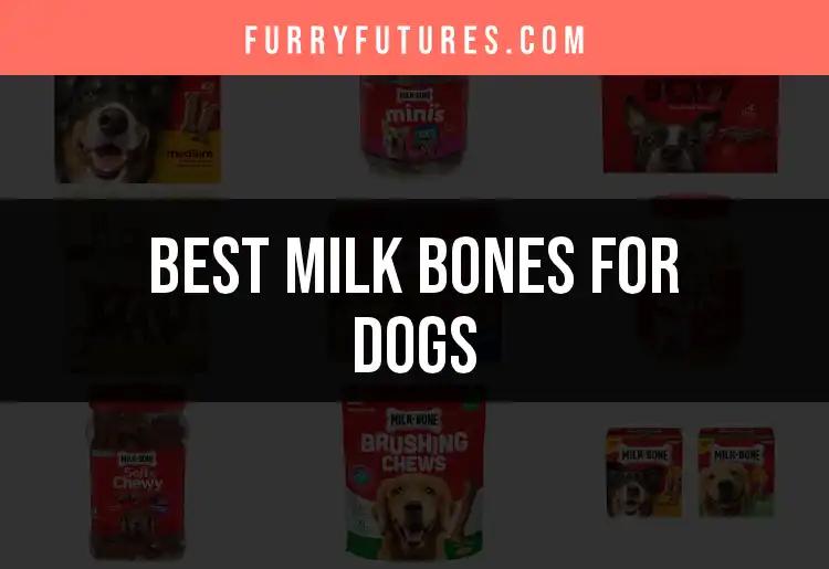 13 Best Milk Bones for Dogs: Treat Their Tails Right