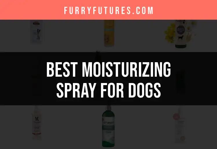 16 Best Moisturizing Sprays for Dogs You Need to Try