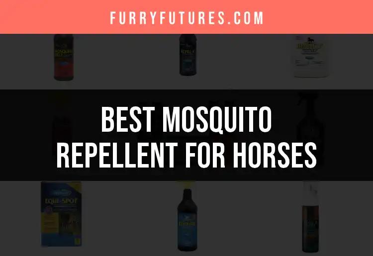 16 Top Mosquito Repellents for Horses You'll Love