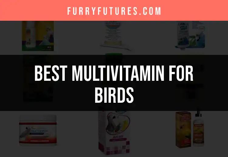 11 Best Multivitamins for Birds to Keep Them Thriving