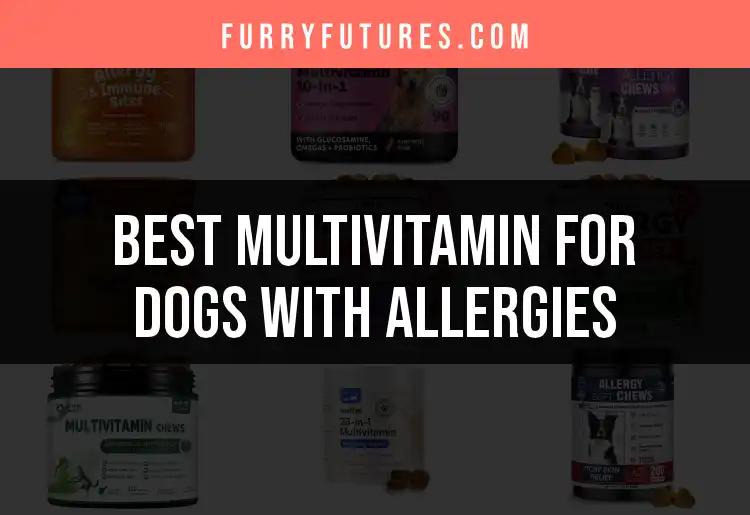 19 Top Multivitamins for Dogs with Allergies
