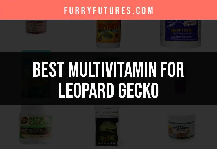 13 Best Multivitamins for Leopard Geckos Uncovered